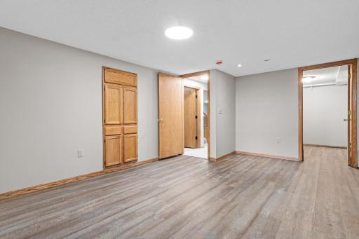 Lower level bedroom 4 with walk-in closet