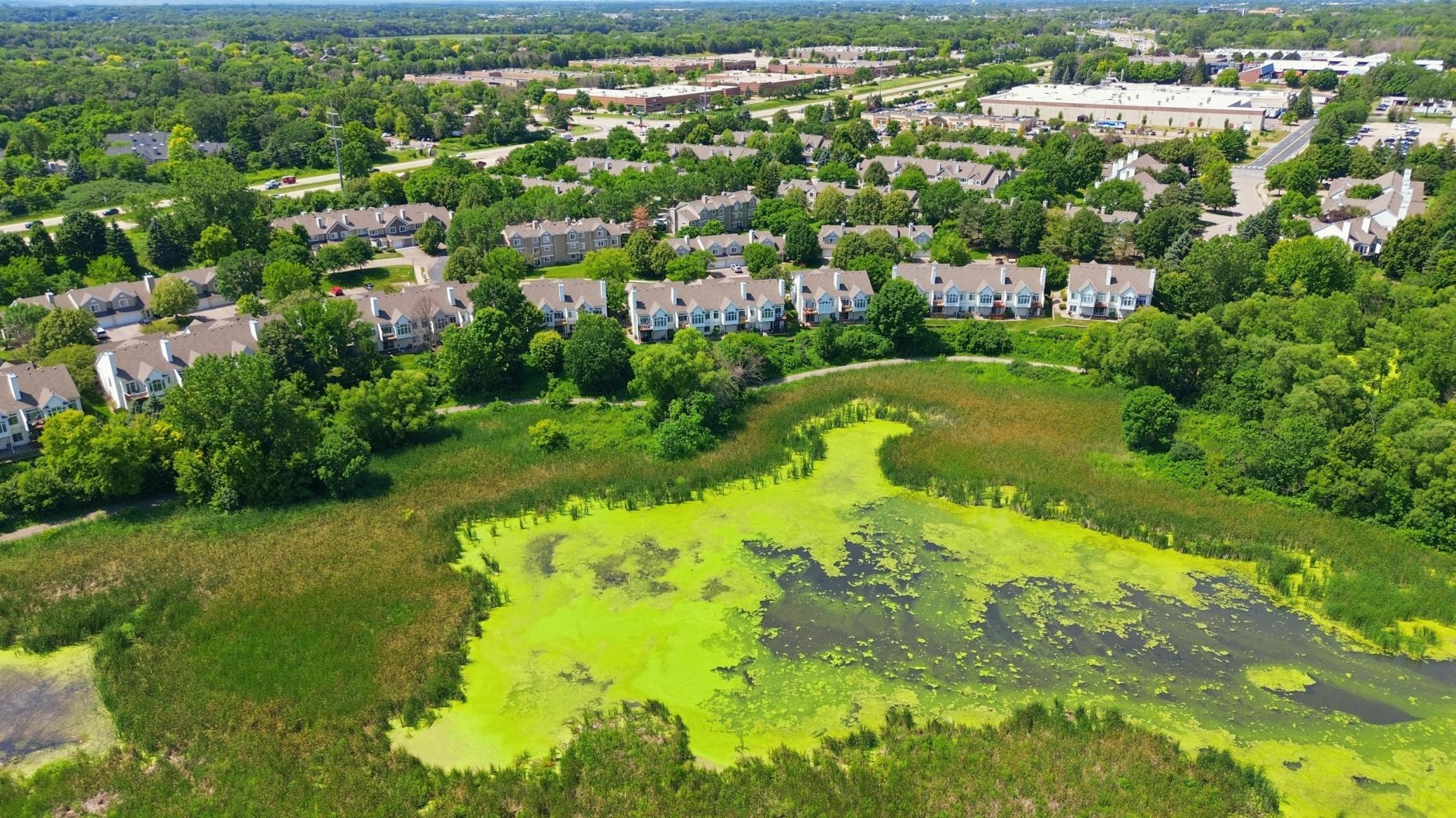 61_dji_0948.jpg