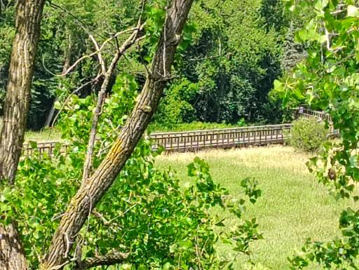 View of the walking Trail 2.jpg