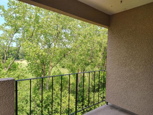 View from the patio.jpg