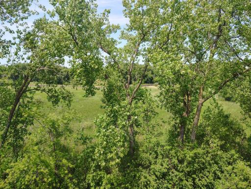 View from the Patio.jpg
