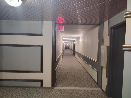 Hallway to the unit.jpg