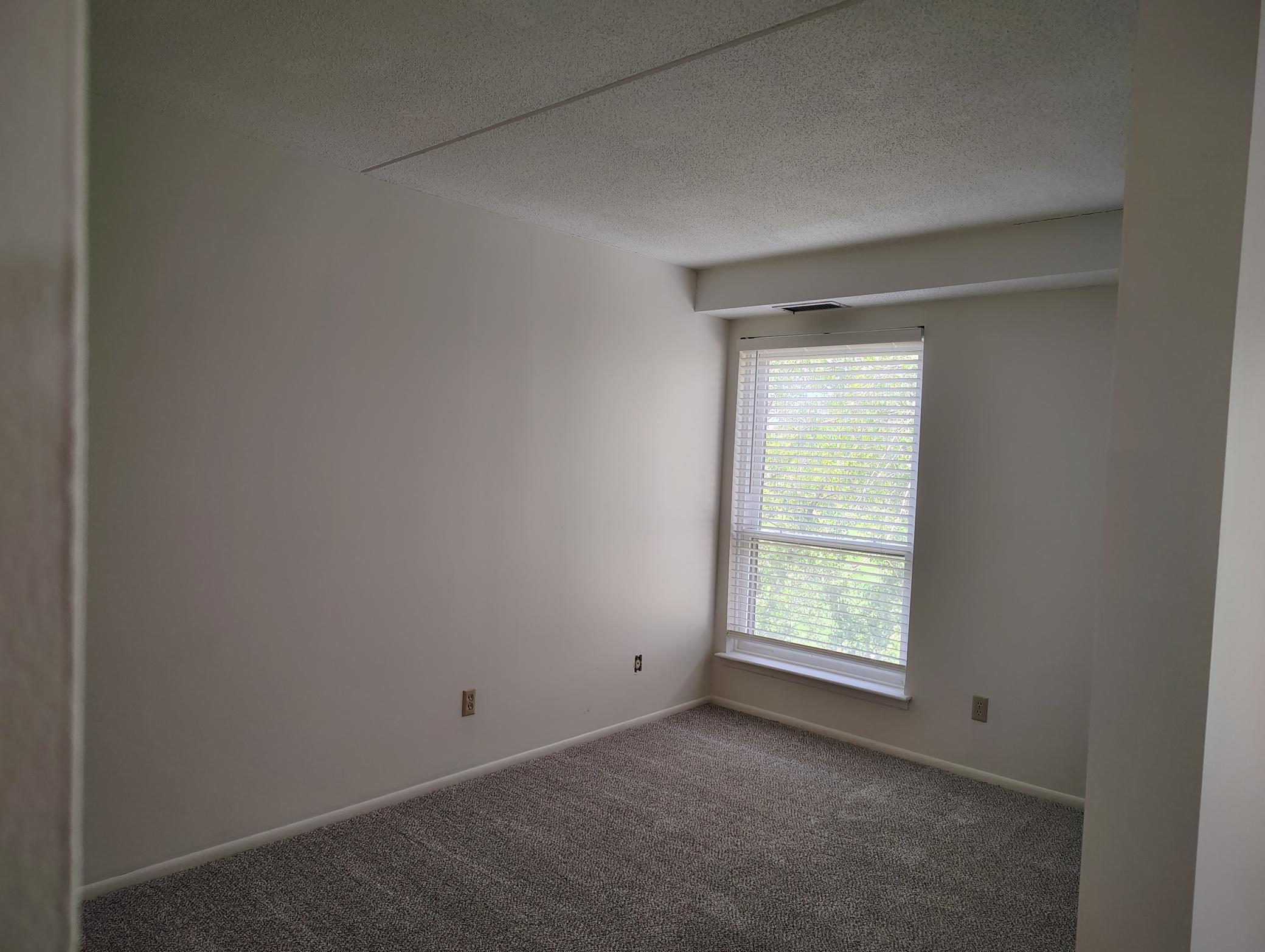 den.jpg