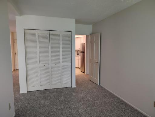 Closet Den.jpg