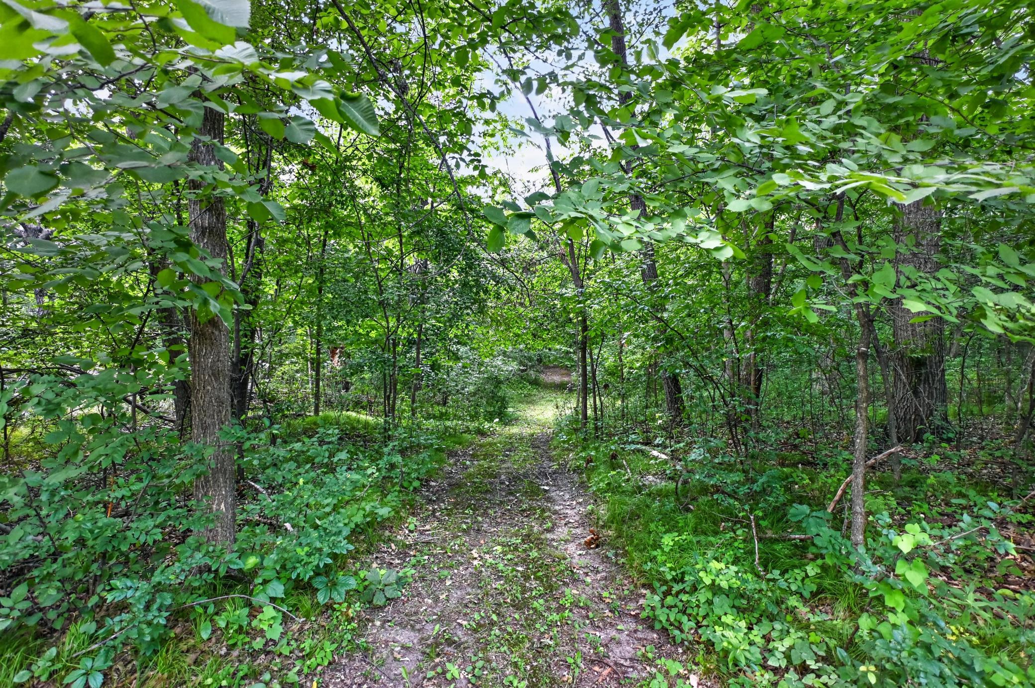 Trails Throughout.jpg