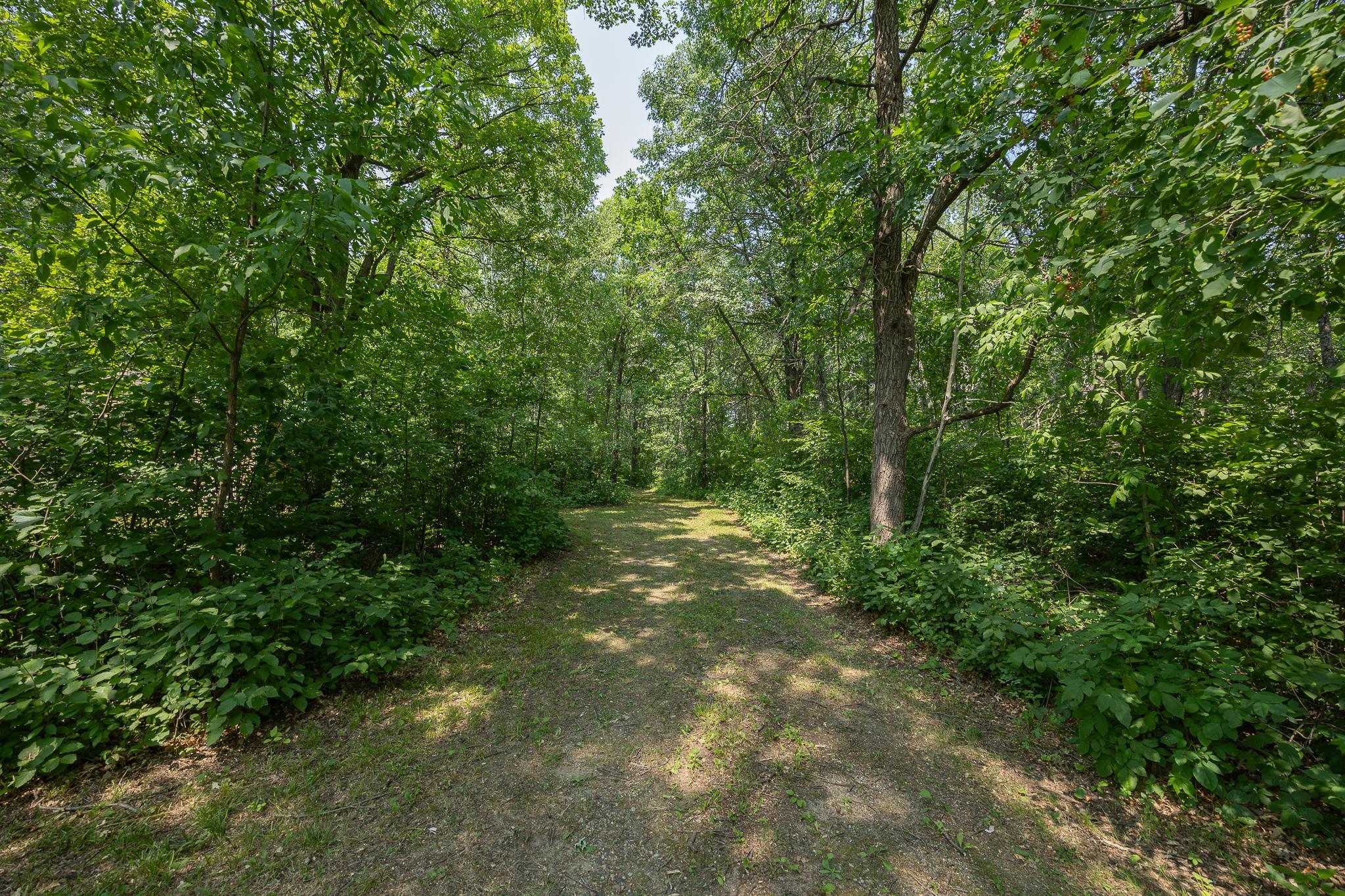 Beautifully treed lot