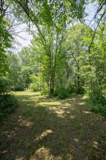 4134 Division Street W, Backus, MN 56435