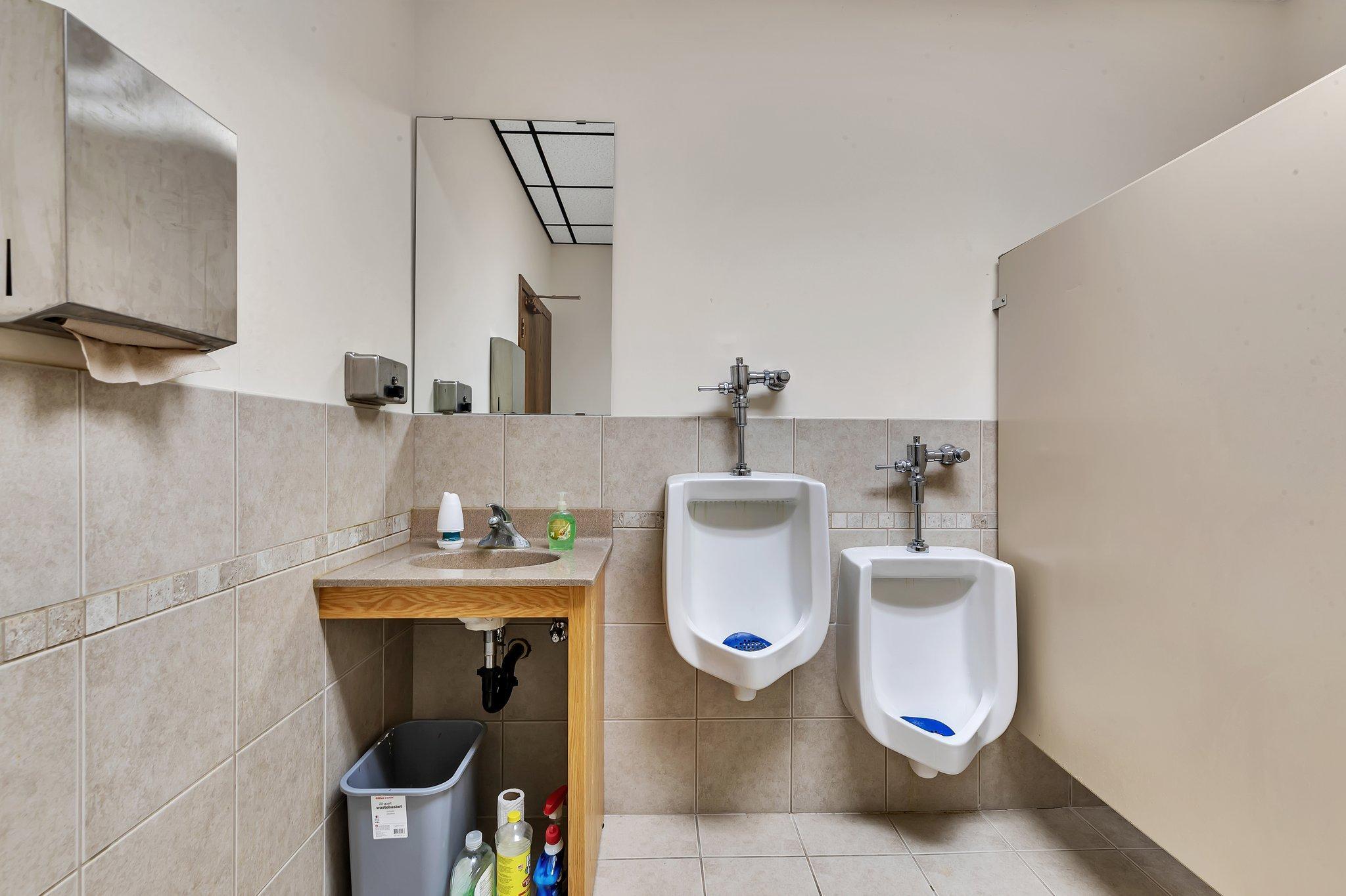 Lower level bathroom
