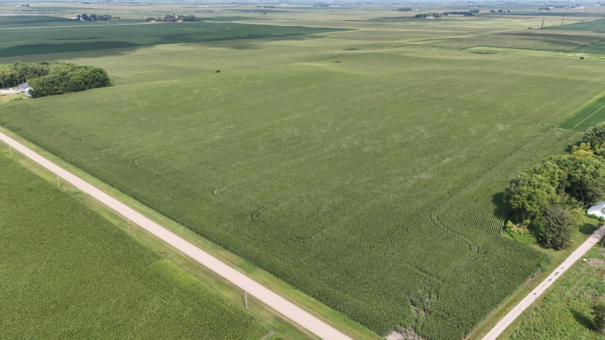 DJI_20260723111436_0013_DJPG.jpg