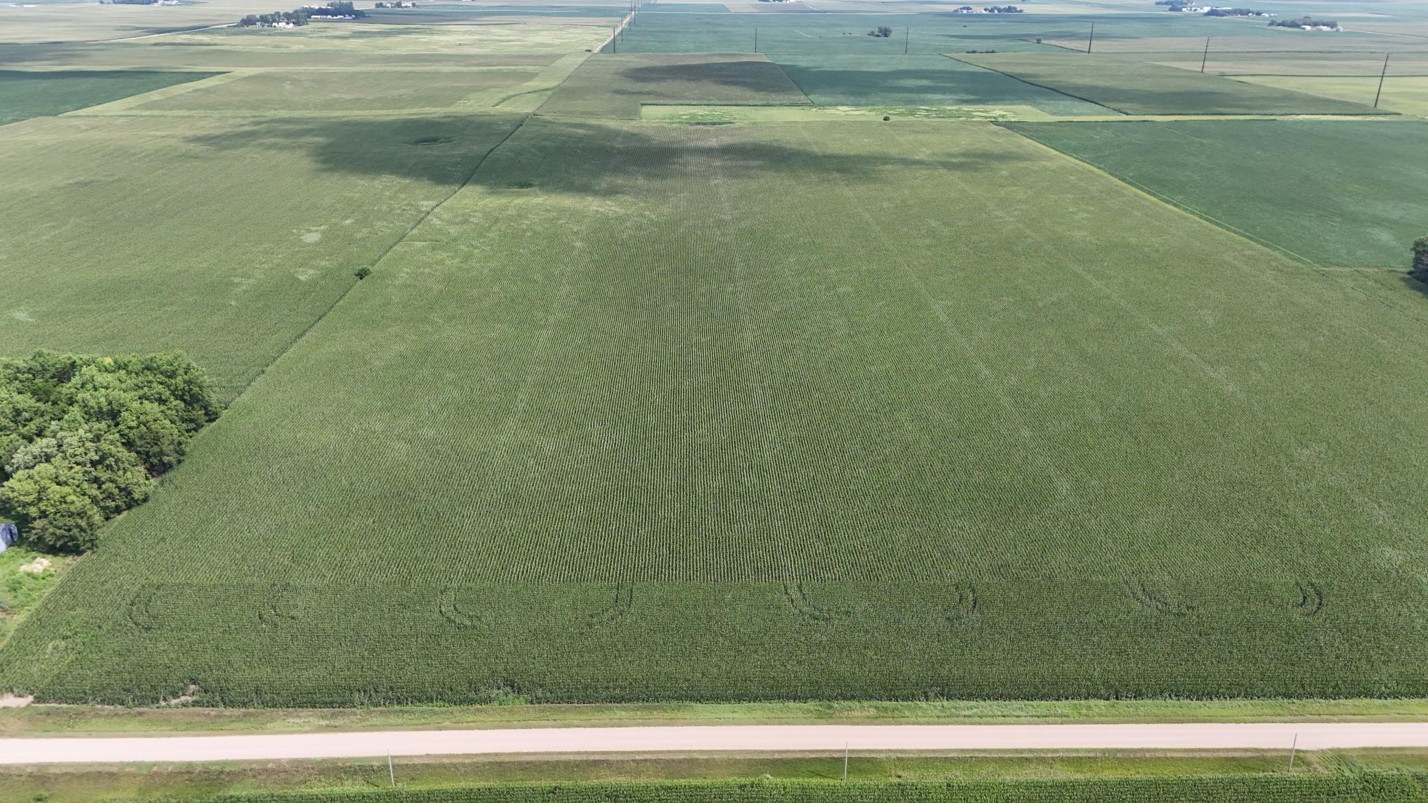 DJI_20260723111244_0011_DJPG.jpg
