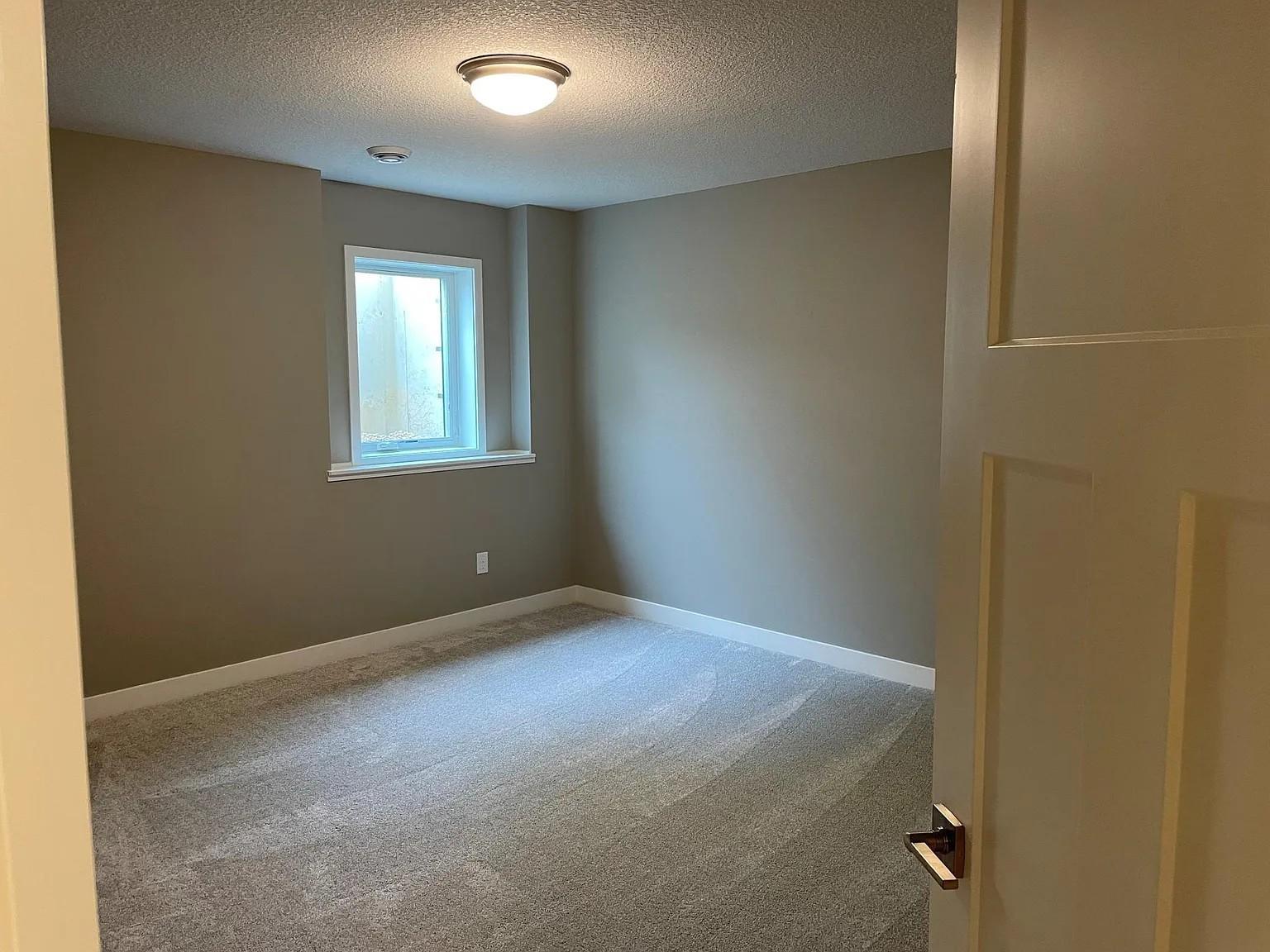 lower level bedroom.jpg