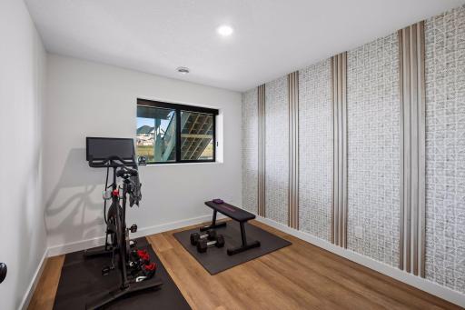 Bedroom 4 / Workout Room