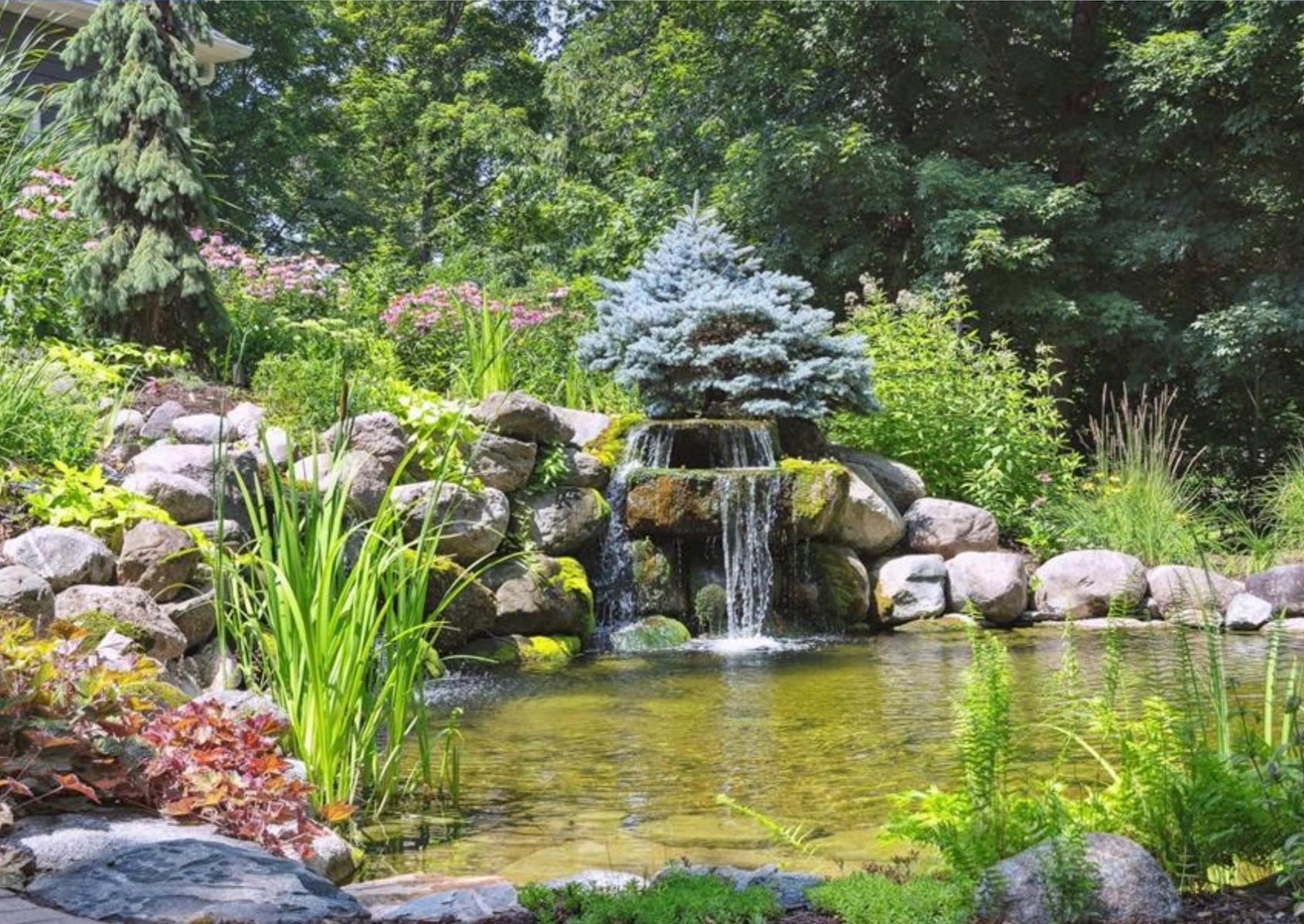 Because the water is naturally filtered, you'll enjoy a beautiful, chemical- free swimming experience surrounded by nature.