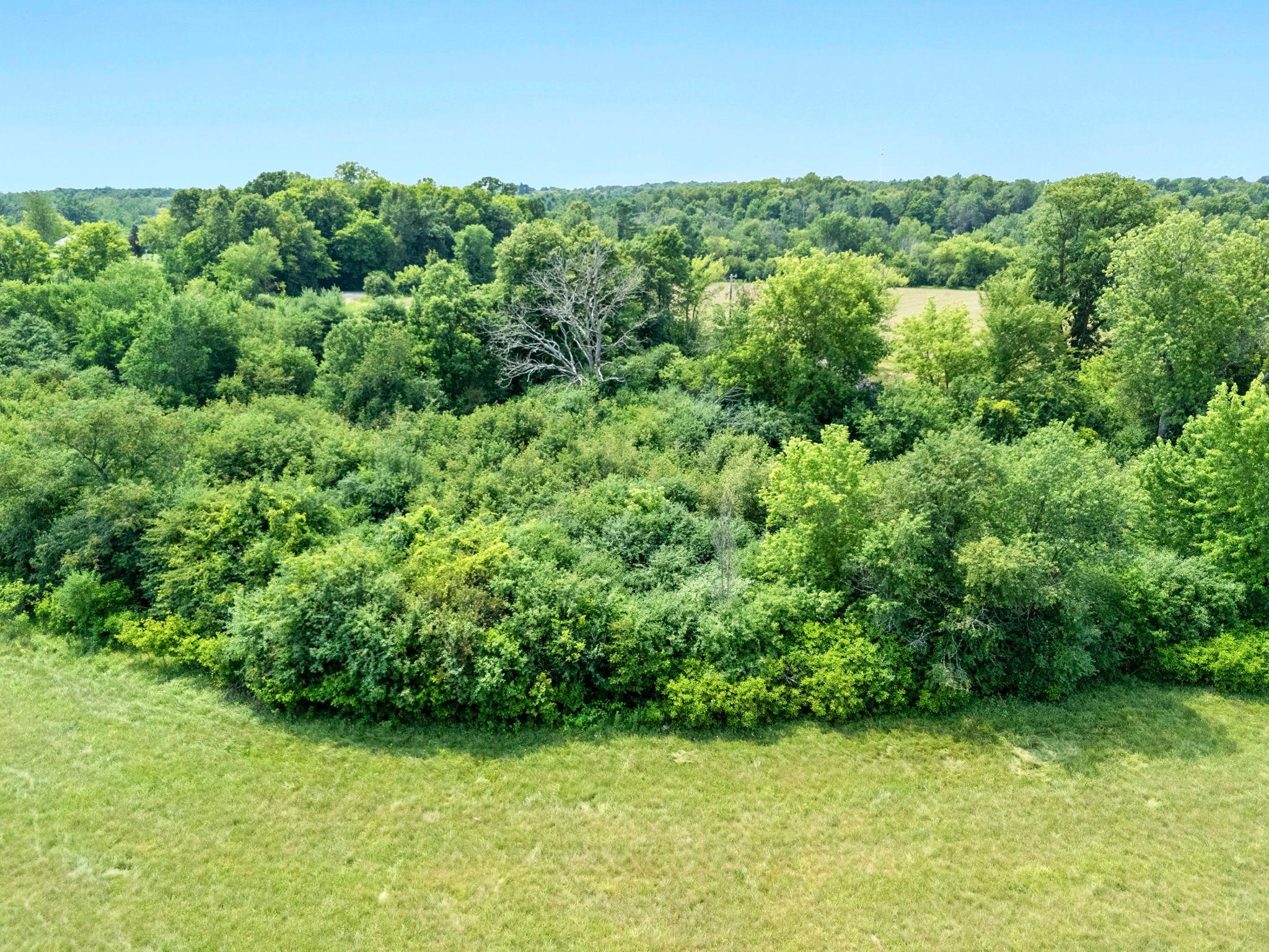 5-web-or-mls-1587 270th Ave-15.jpg