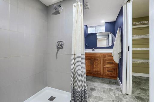 Lower Level Bathroom