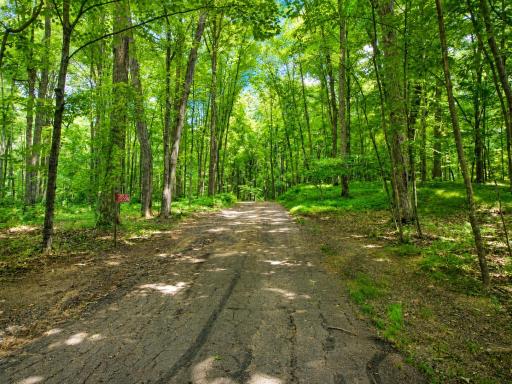 11200 N Songbird Lane, Hayward, WI 54843