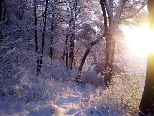 N8792 610th Street, Colfax, WI 54730