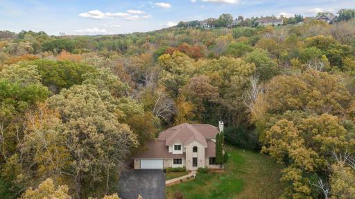 Nestled within mature trees