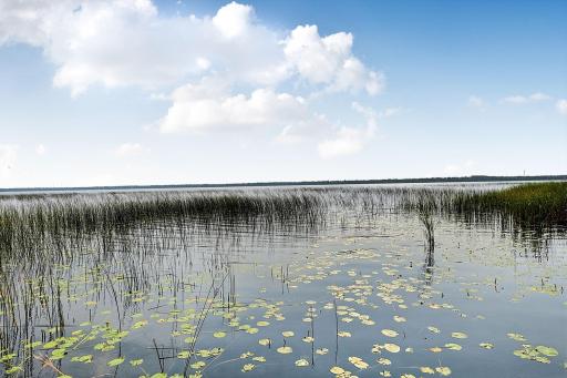 Lake Edward View