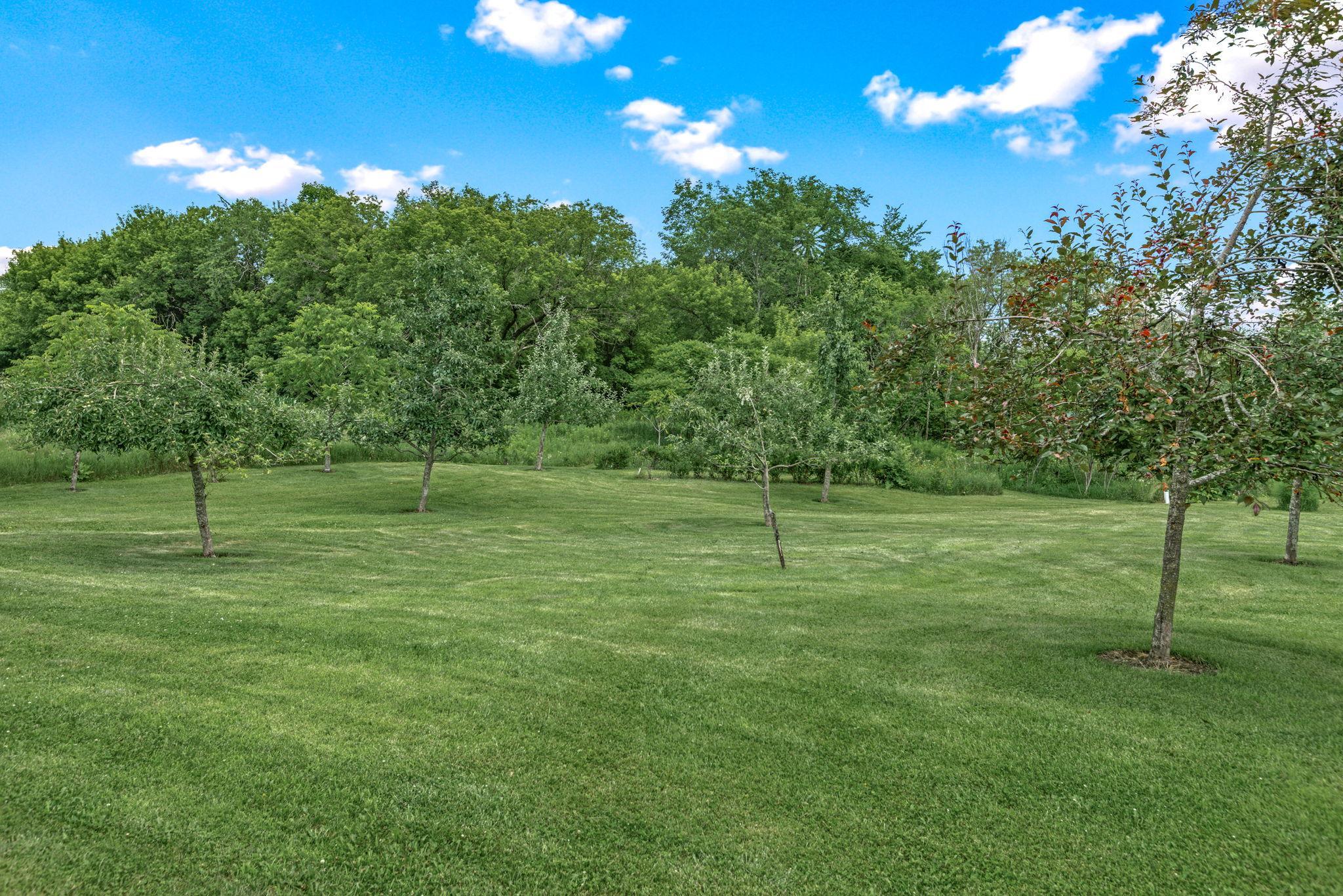 45-web-or-mls-N7681 500th St (45).jpg