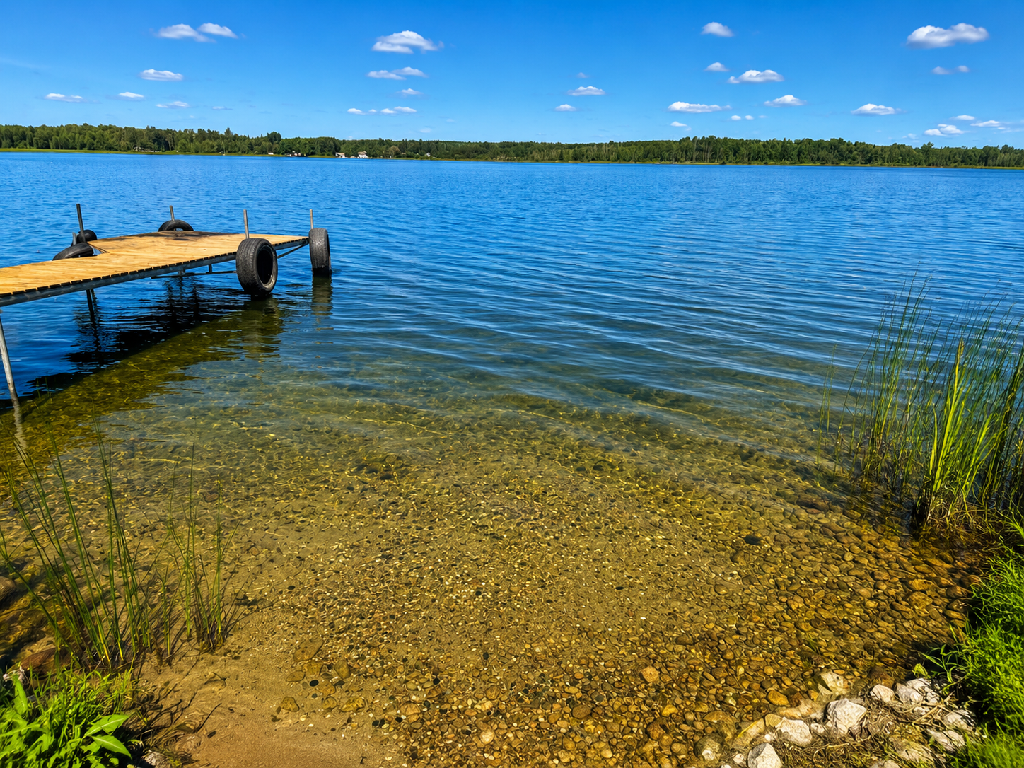 Sandy lakeshore