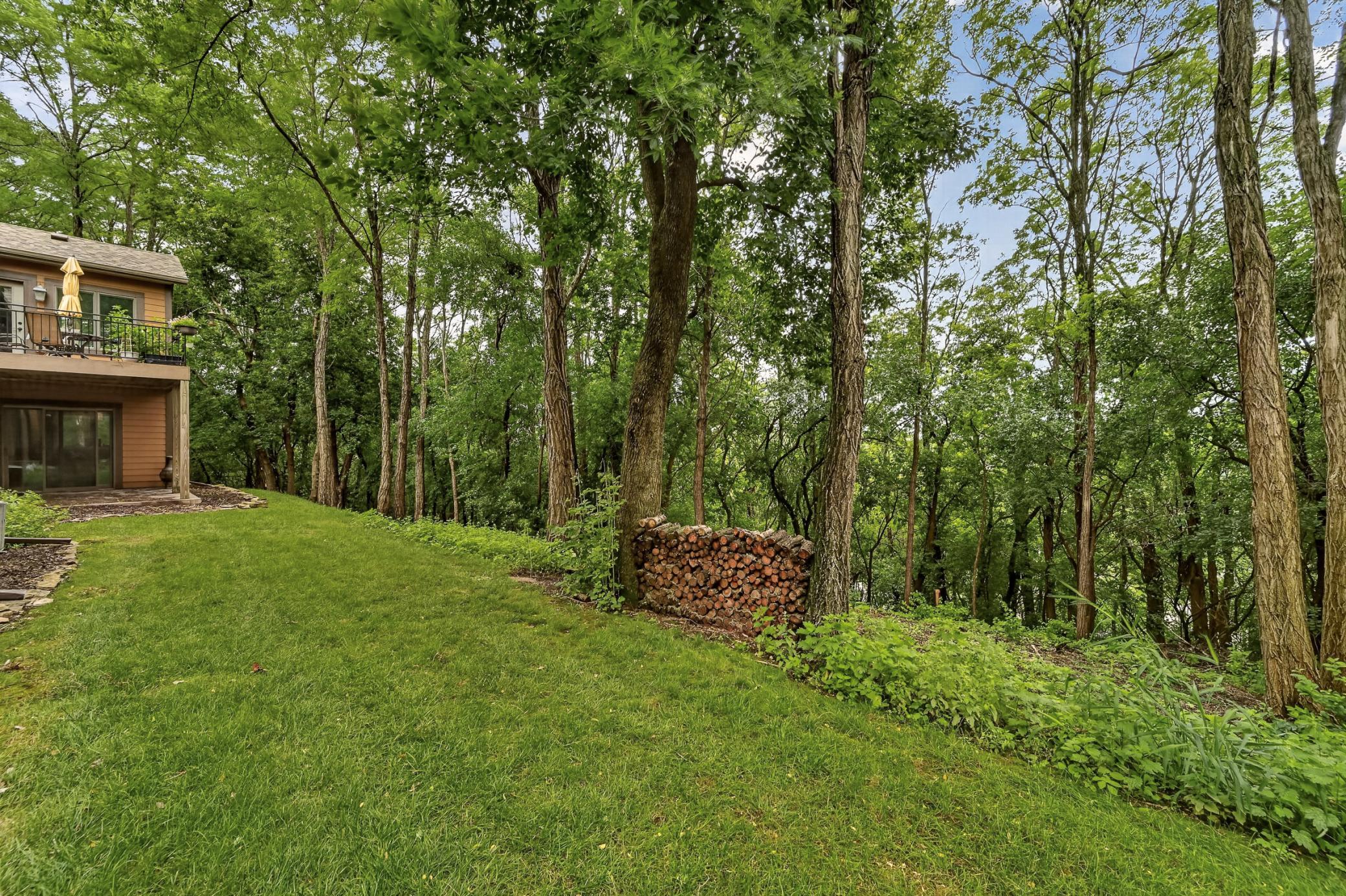 Backyard Privacy.jpg