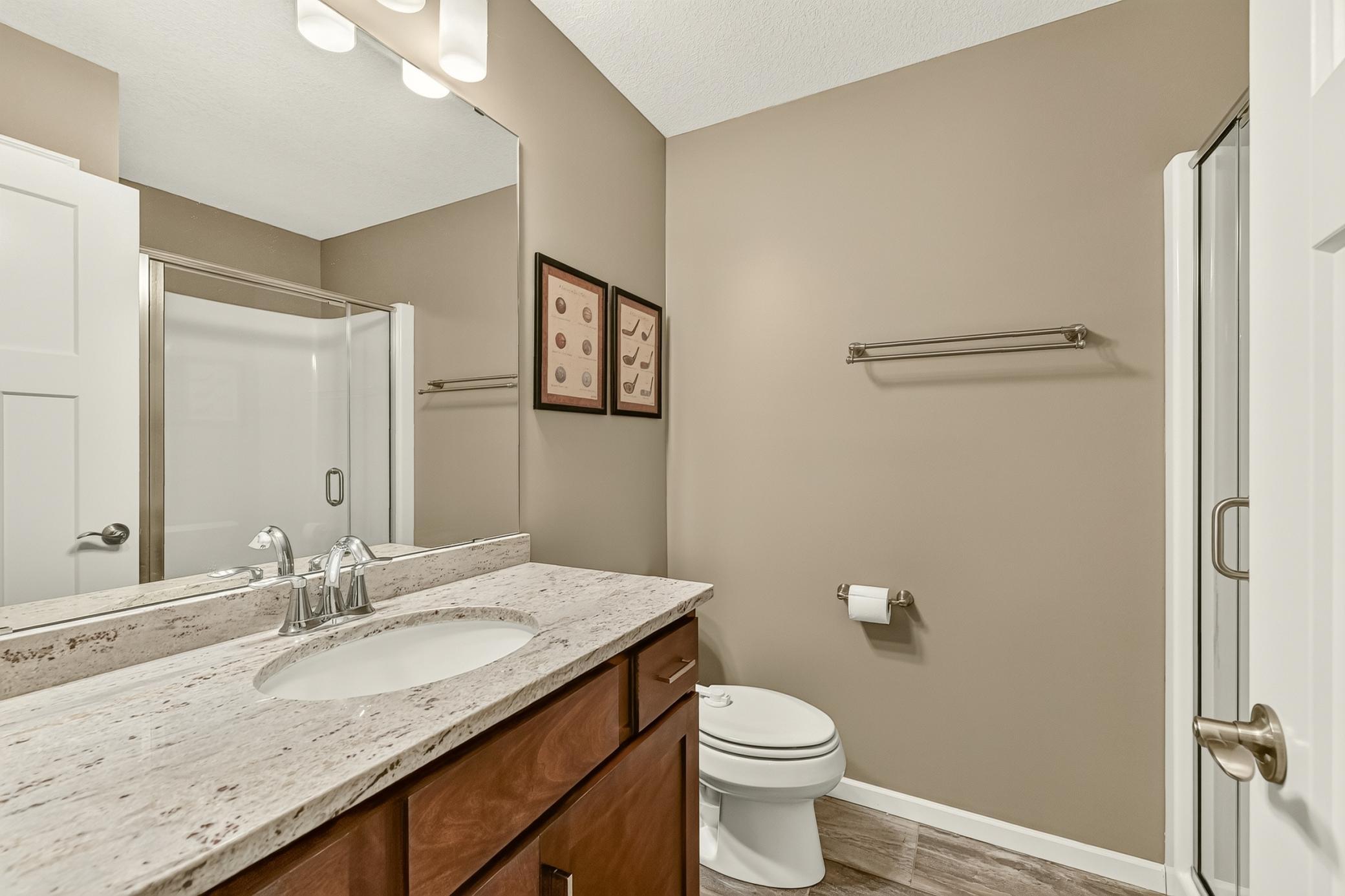 Lower Level Bathroom.jpg