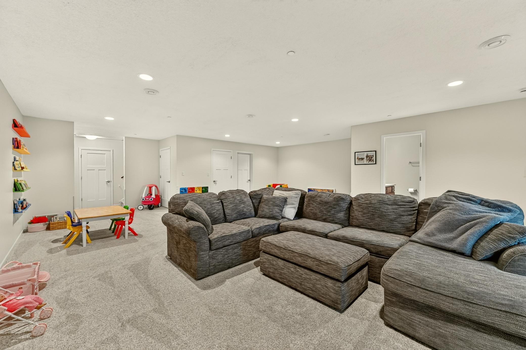 Lower Level Living Room_.jpg