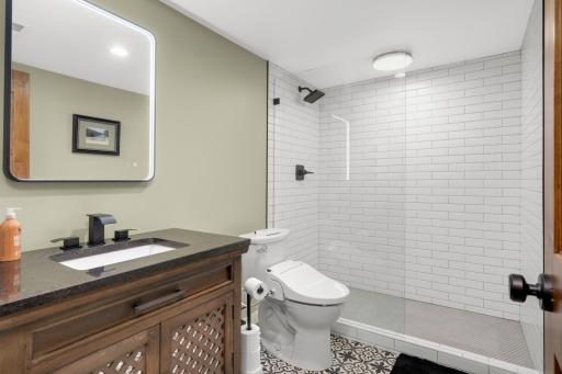 Lower level bathroom