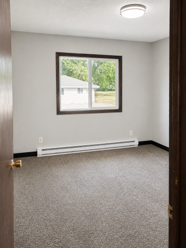 310 S 8th Street, 4, Kerkhoven, MN 56252