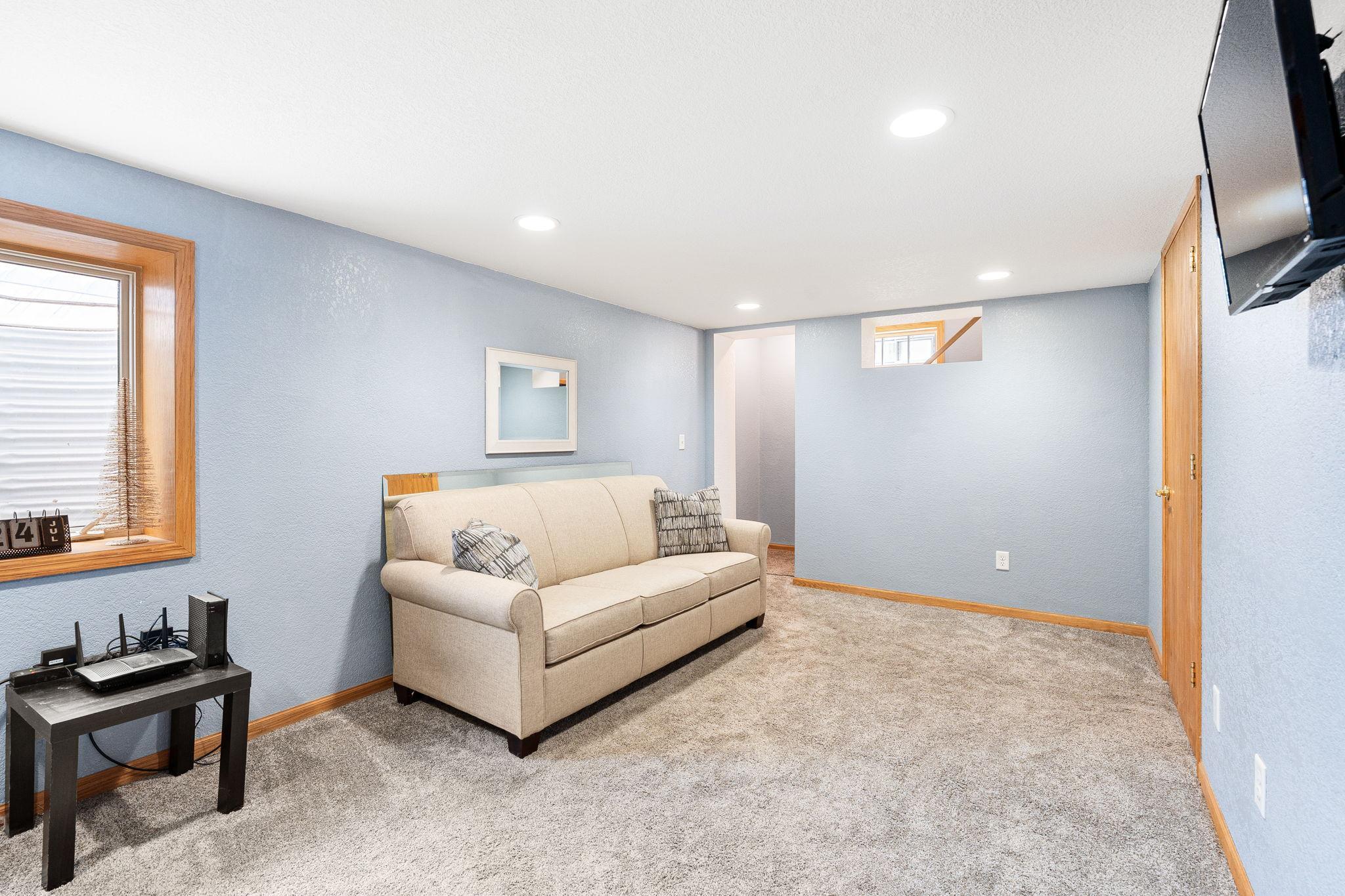 Lower Level Family Room