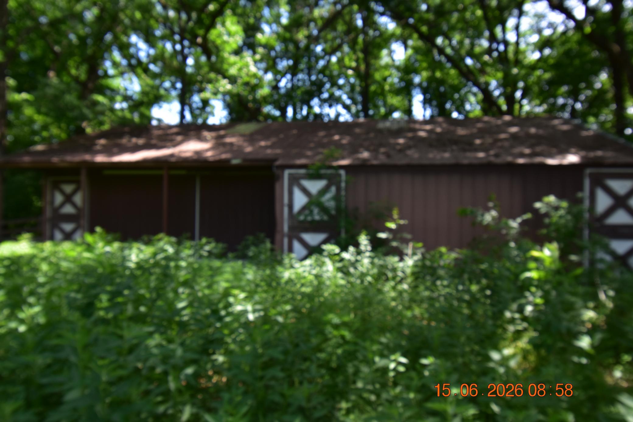 DSC_0339.JPG