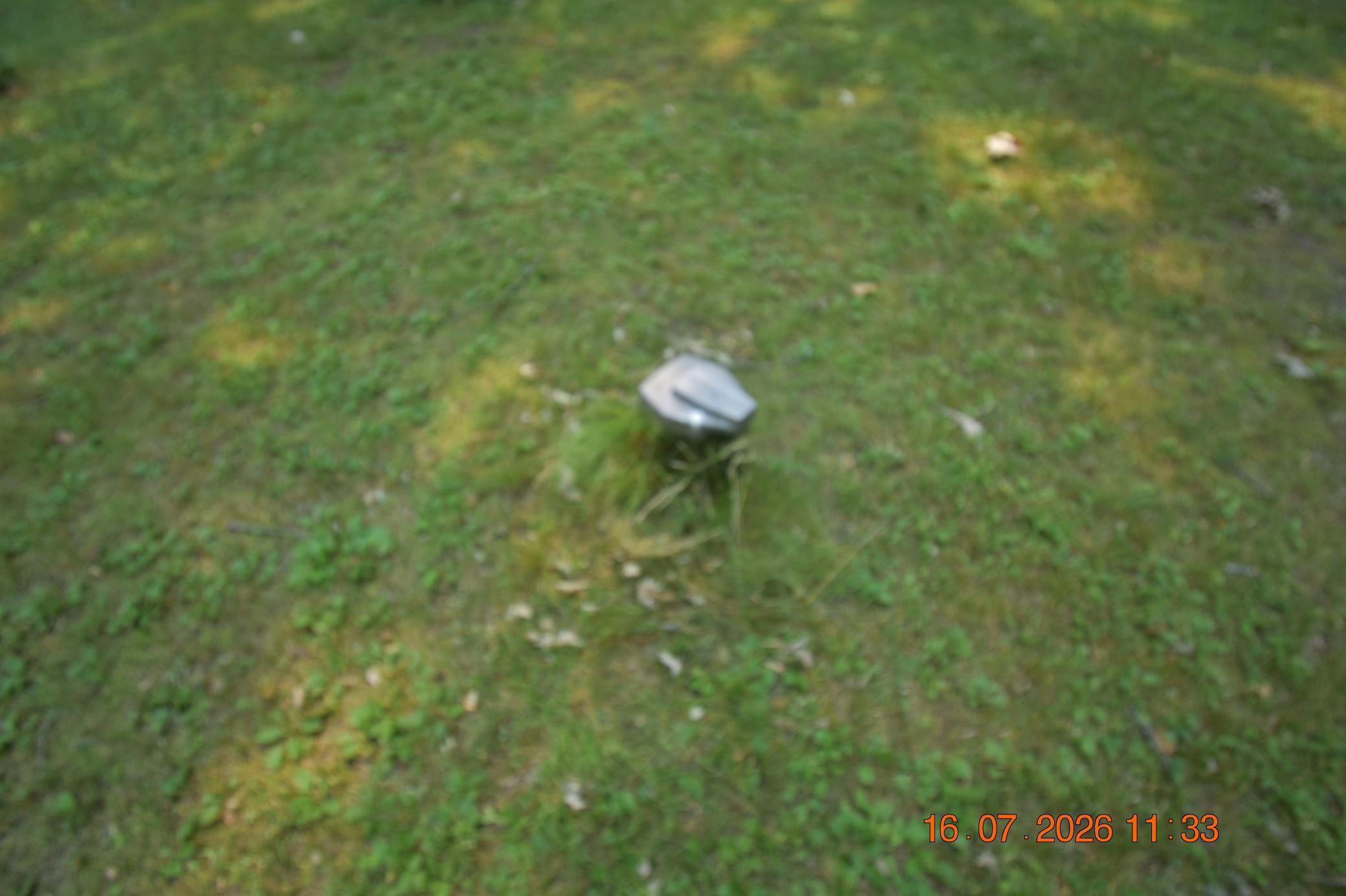 DSC_0319.JPG