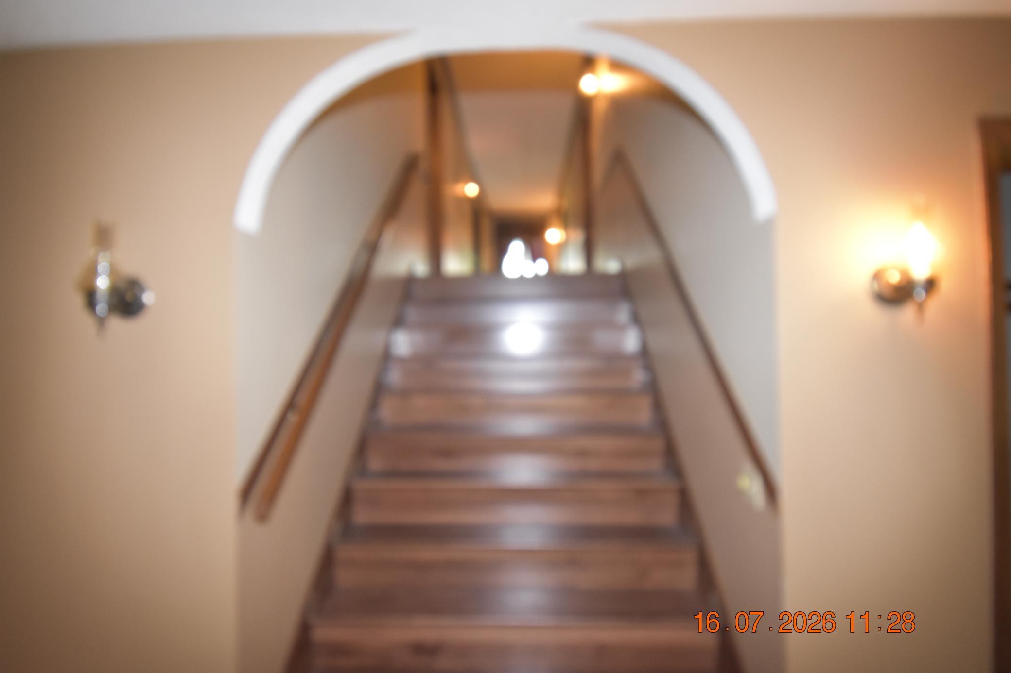 DSC_0313.JPG
