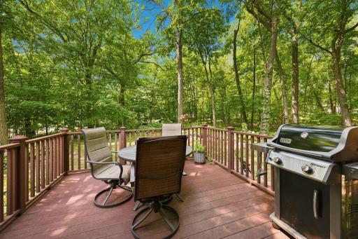 Maintenance free deck - check out the privacy, yet it's open.