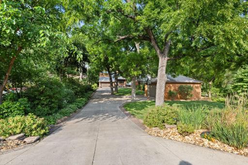 Amazing curb appeal, tree lined drive up the front of the home.