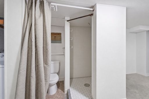 Lower level bathroom