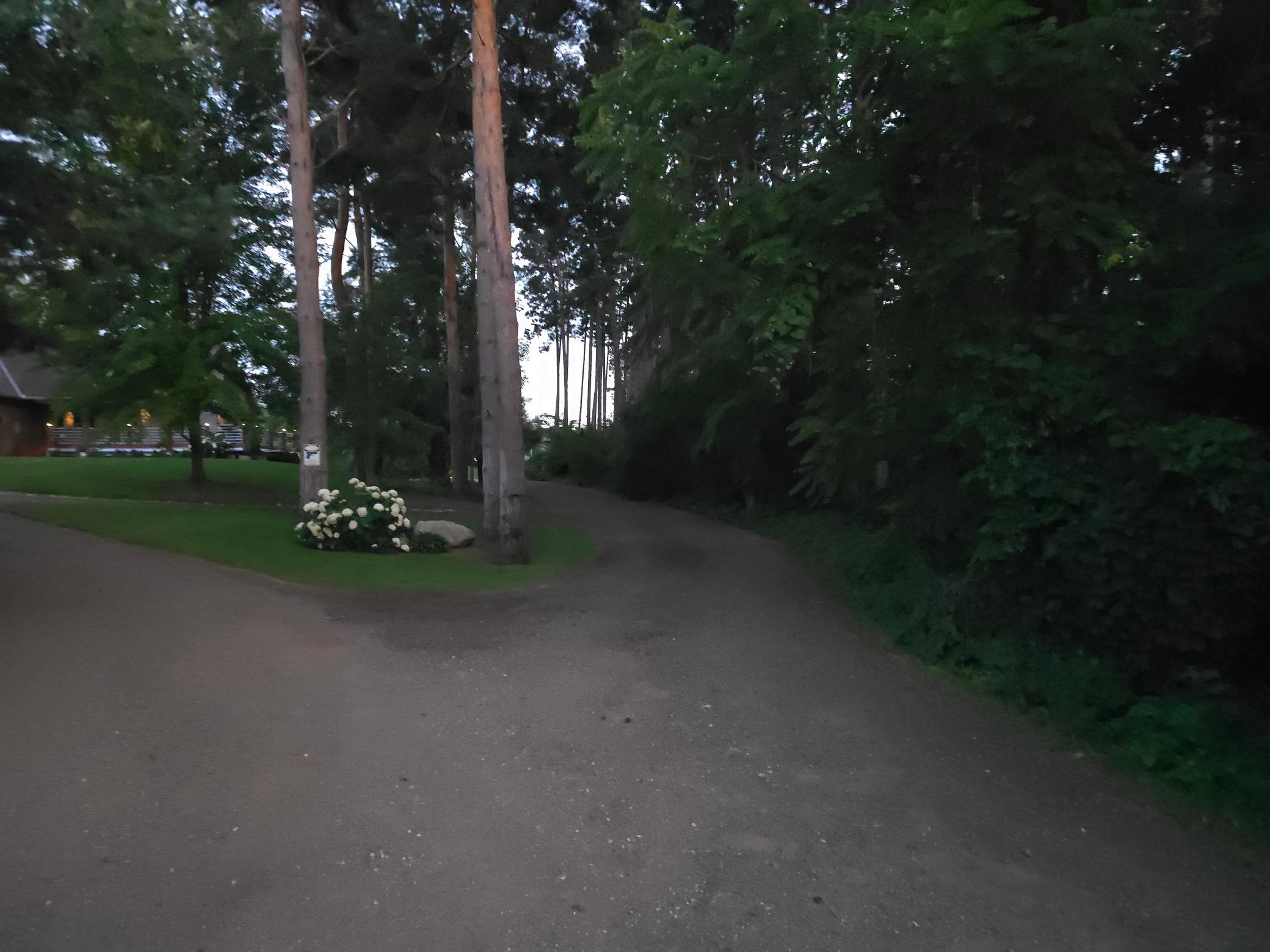 Driveway