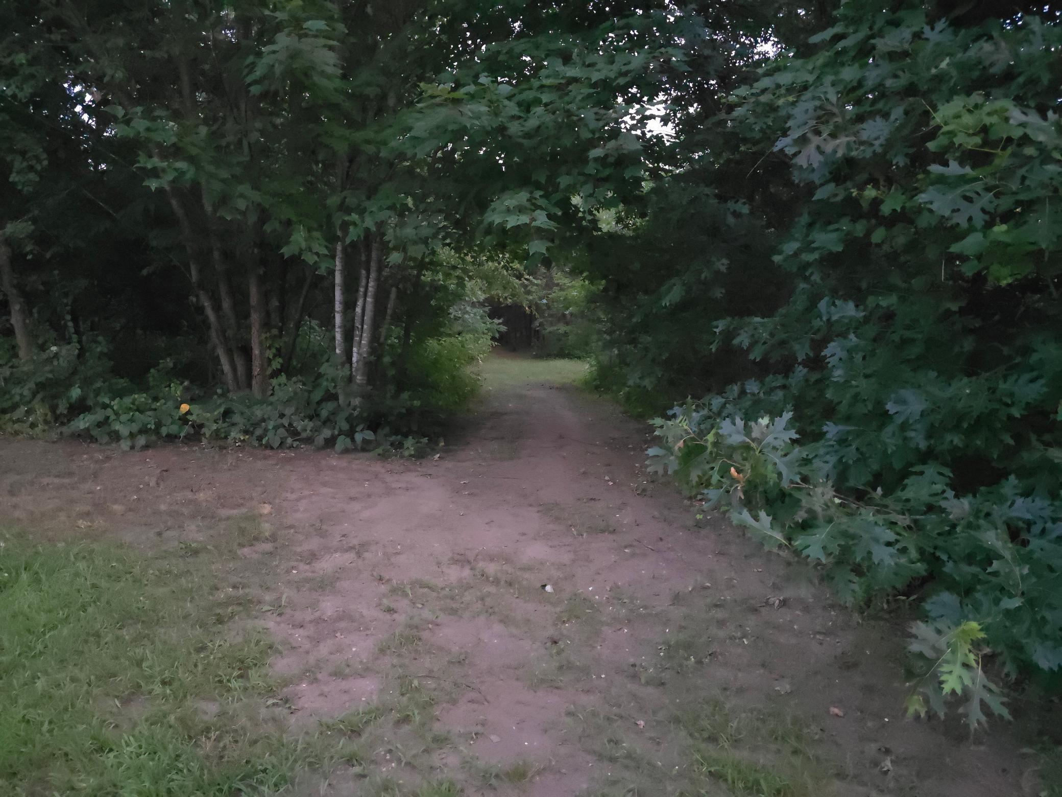 Trails