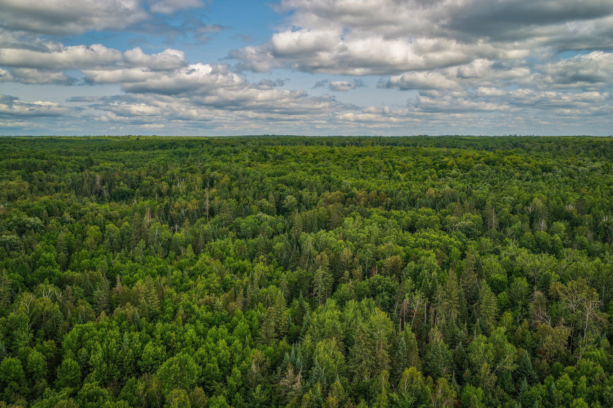Property photo for TBD 219th Avenue, Bemidji, MN 56601