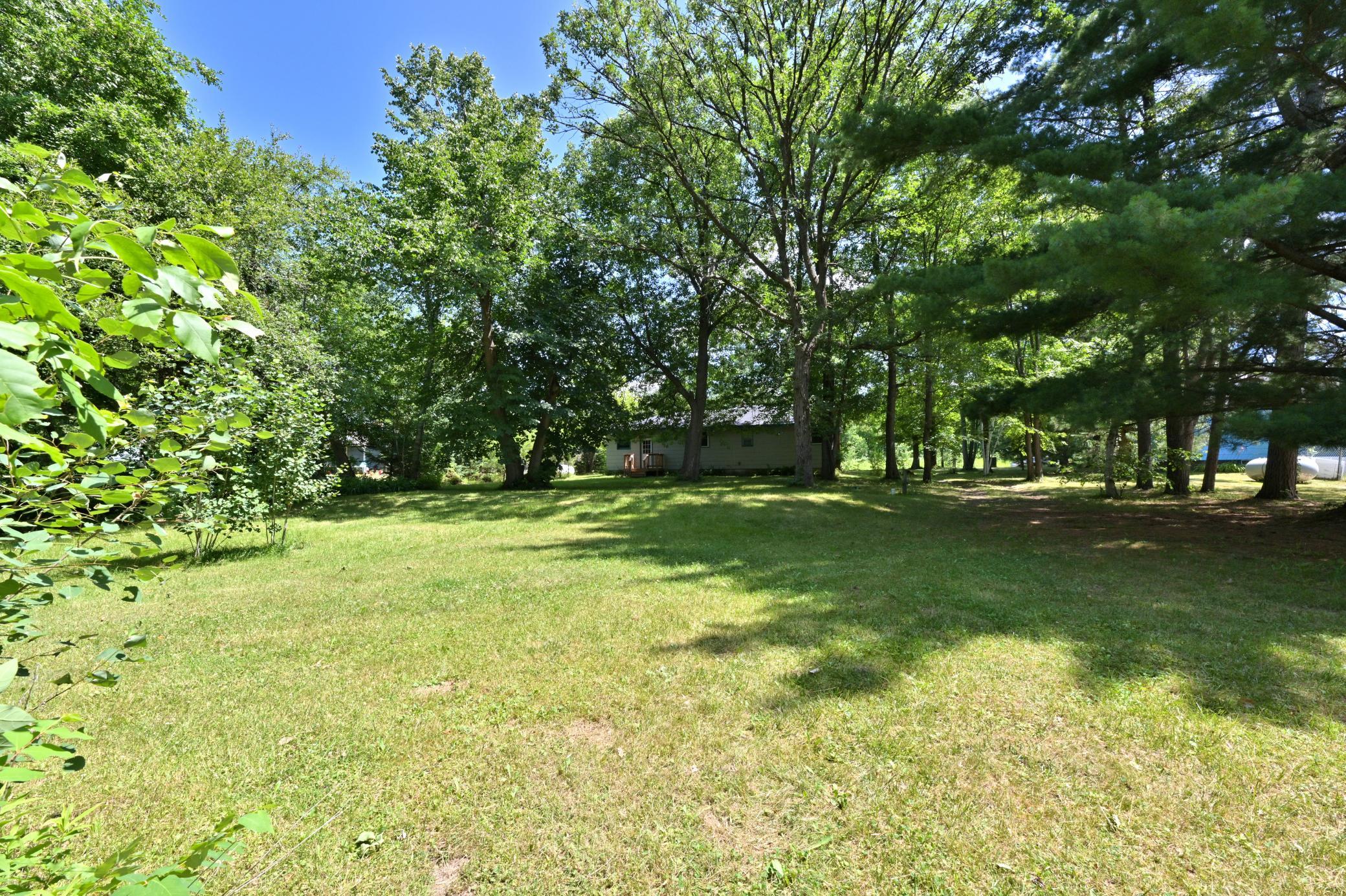 BACKYARD.jpg