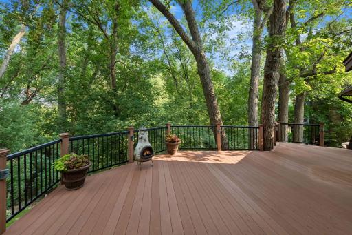 Enjoy a HUGE maintenance free deck with steps to the backyard.