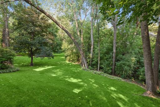 WOW!!! This yard is a 10+ and hard to find in this neighborhood. Enjoy this big 1/3-acre lot with plenty of mature trees. Very peaceful and private.
