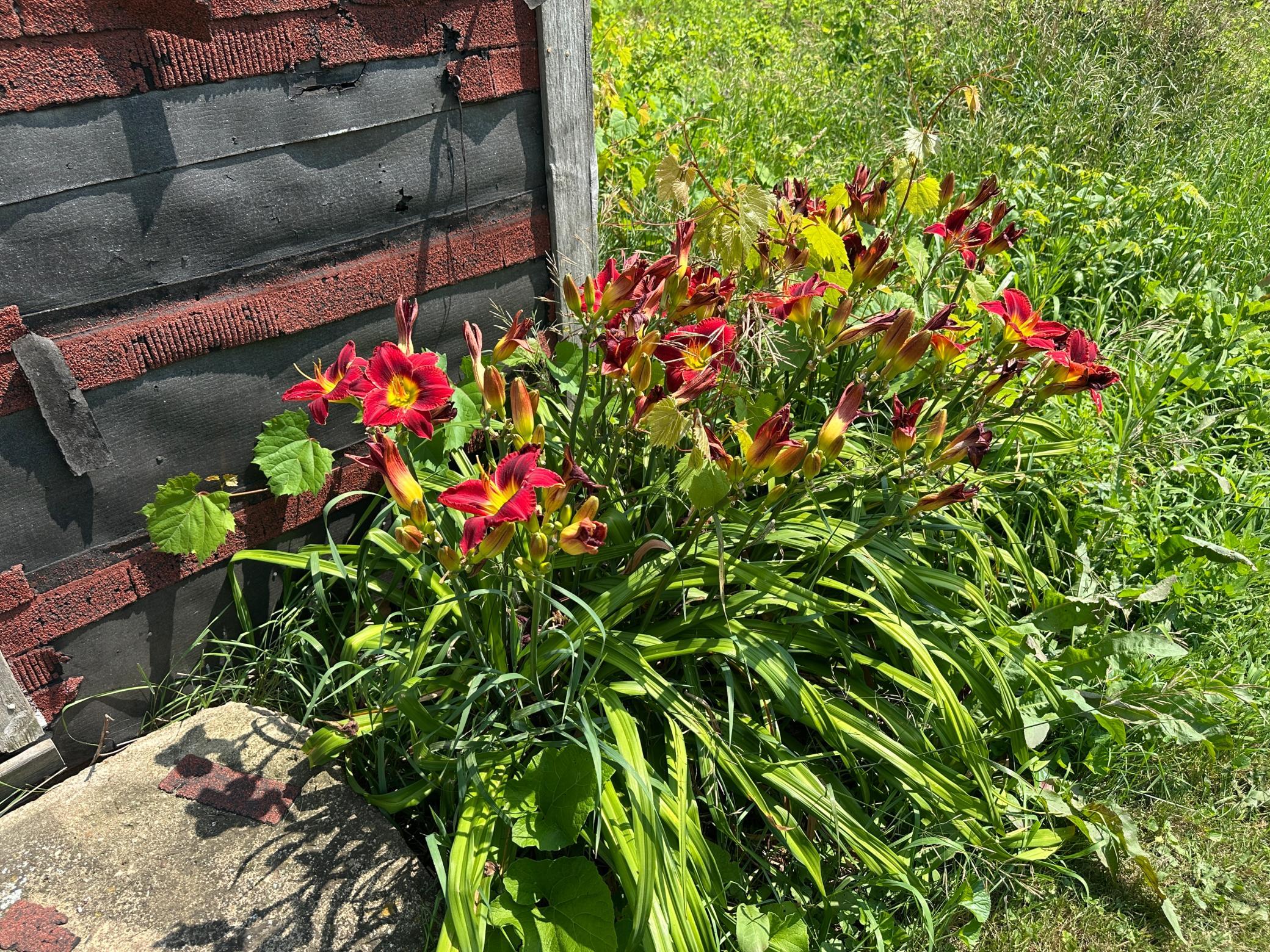 Photo 34