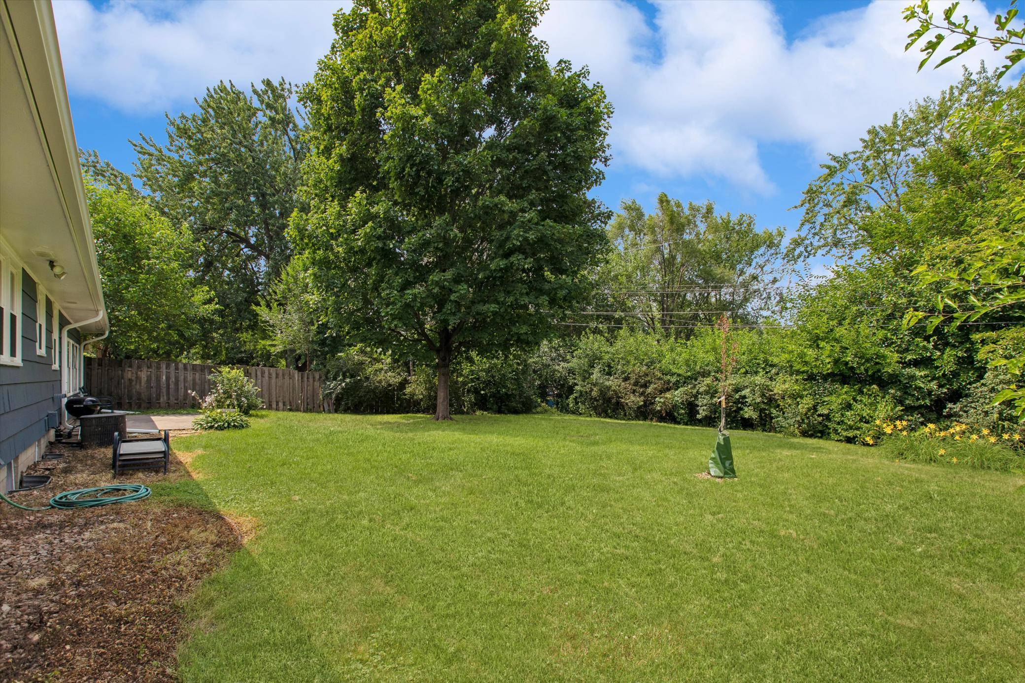 So much greenery in this yard!