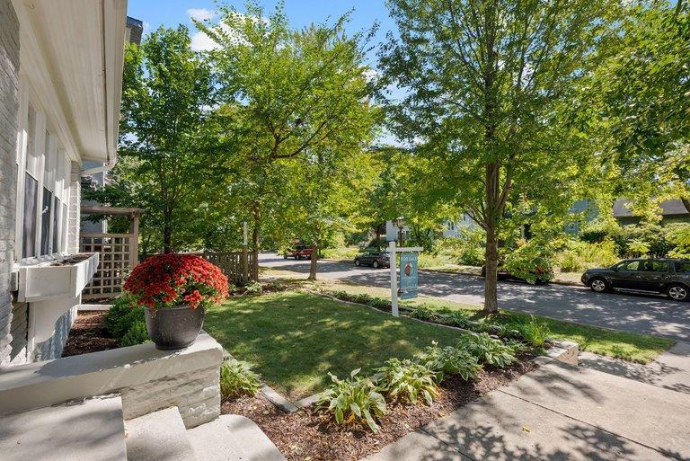 Front yard.jpg