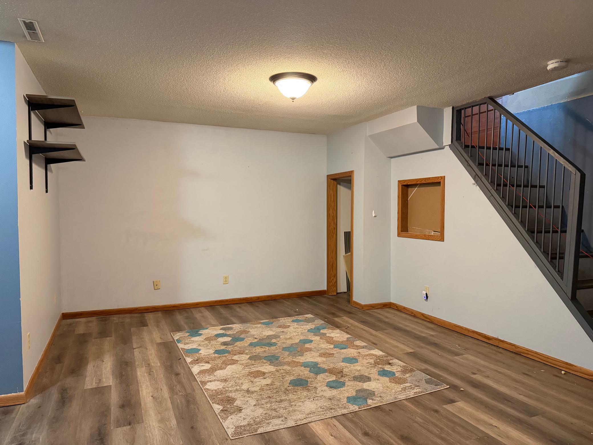 Lower Level Family Room