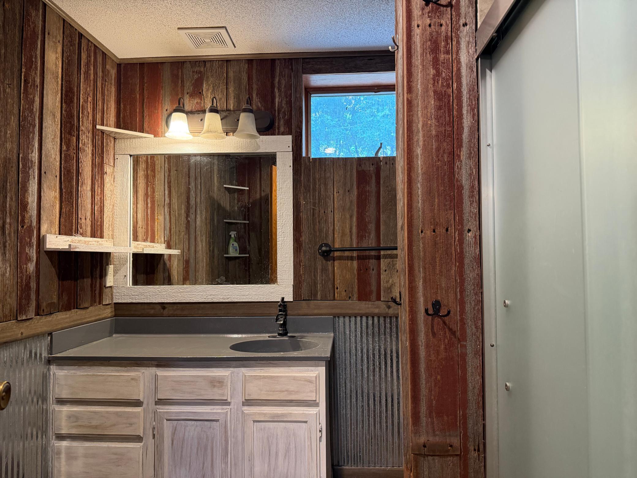 Lower Level Bathroom with shower
