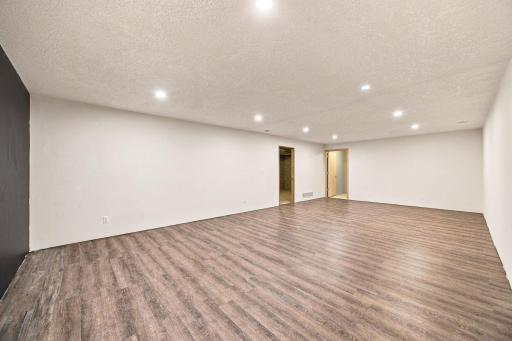 Lower level family room! So much space here