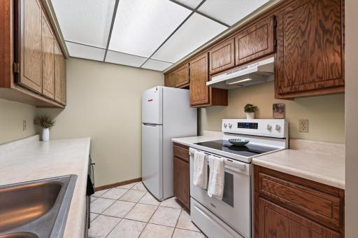 548 Auburn Place NW, A, Elk River, MN 55330
